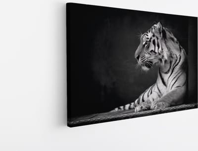Saammp Canvas Schilderij - Tijger - Natuur - Dieren - Zwart-Wit - 30x20 - Foto op canvas - Wanddecoratie - muurdecoratie Woonkamer - Slaapkamer decoratie - Canvas Print