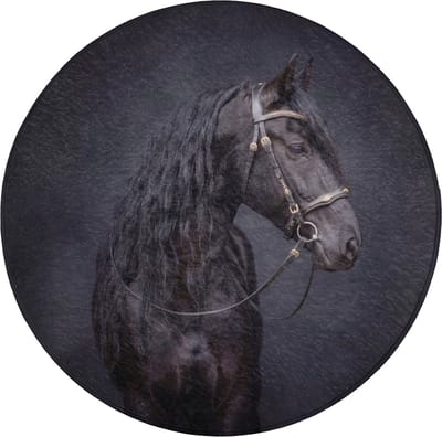 WC mat rond 70x70 cm - Antislip - Portret - Paard - Donker - Toiletmat - Vloermat - Douchemat - Toilet tapijt - Toiletmatten