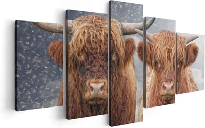 Artaza Canvas Schilderij Vijfluik Schotse Hooglander Koppel - Man en Vrouw - 100x50 - Foto Op Canvas - Canvas Print