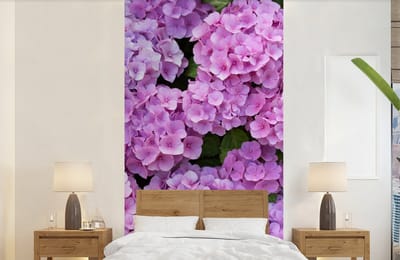 Behang - Fotobehang Bloemen - Hortensia - Struik - Roze - Bloemblaadjes - Breedte 120 cm x hoogte 240 cm