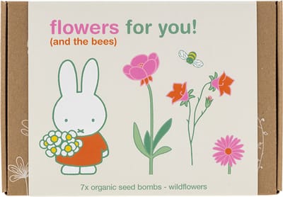Blossombs Gift Box Small Nijntje Flowers For You – 7 Zaadbommetjes – Wilde Bloemenmix – Cadeau Bedankje – Voor Bijen en Vlinders