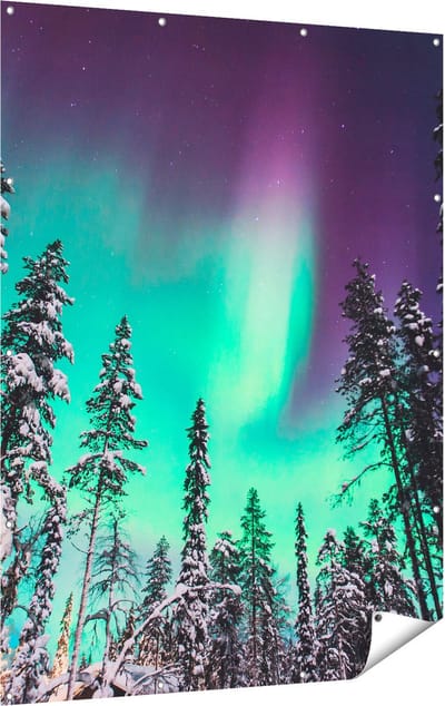 Gards Tuinposter Noorderlicht in de Bossen van Noorwegen - 120x160 cm - Tuindoek - Tuindecoratie - Wanddecoratie buiten - Tuinschilderij