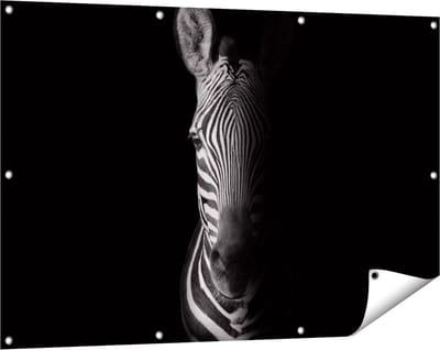 Gards Tuinposter Halve Zebra - Zwart Wit - 120x80 cm - Tuindoek - Tuindecoratie - Wanddecoratie buiten - Tuinschilderij