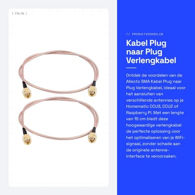 Dailygoods Kabel Plug naar Plug Verlengkabel - 15 cm - Antenne Adapter - Gold - Geschikt voor Raspberry Pi - Coaxiaal - Pack van 2