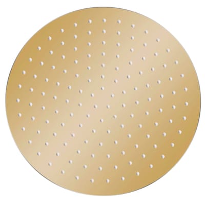 vidaXL - Regendouchekop - rond - 30 - cm - roestvrij - staal - goudkleurig