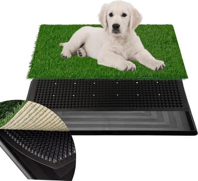 Hondenpotje Kunstgras - Honden Trainingsmat - Binnen Zindelijkheid - 3-Laags Systeem - 40 x 50 cm - Groen