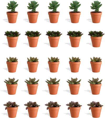 DutchLeafs Sedum Mix Mini Vetplanten in Terracotta Bloempot - 20 Stuks - Kwekerspot 5,5 cm - Hoogte 8-15 cm - Mini Succulenten - Kamerplanten