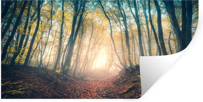 Muurstickers - Sticker Folie - Bos - Mist - Zon - Herfst - 40x20 cm - Plakfolie - Muurstickers Kinderkamer - Zelfklevend Behang - Zelfklevend behangpapier - Stickerfolie