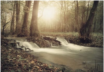 Fotobehangkoning - Behang - Vliesbehang - Fotobehang Magisch Bos - Forest Cascade - 150 x 105 cm
