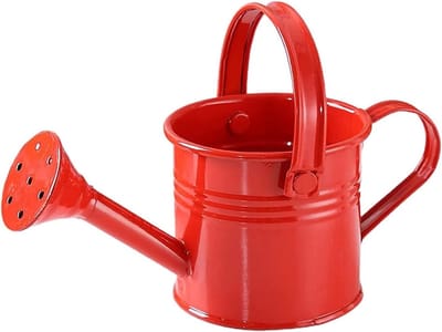 Gieter met Handvat - Waterkruik Plantenspuit - Planten Water Geven - Ergonomische Handgreep - 20 x 18 x 15 cm