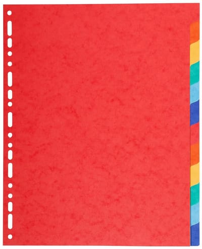 Ringmap A4 Maxi 12 Ringen 220g - Stevige Documentenorganizer