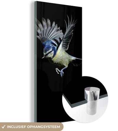 MuchoWow® Glasschilderij 20x40 cm - Schilderij acrylglas - Vogel - Veren - Portret - Foto op glas - Schilderijen