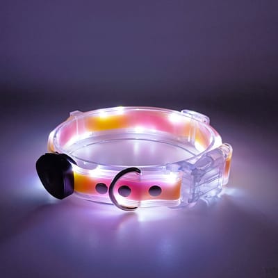 Lichtgevende halsband-nachtzicht-verloren voorkomen-hondentuig-hoog helderheid-hondenriem-huisdieraccessoire—Roze-oranje halsband
