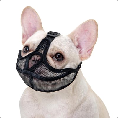 Ademend Muilkorf voor Franse Bulldog en Korte Snuit Honden (Zwart, Maat L)