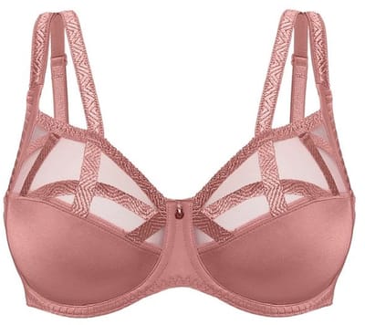 Louisa Bracq - BH Volle Cup Série - Terracotta - 90-105B