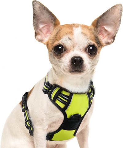 Hondentuig No Pull, Hondenharnas voor Kleine Honden, Verstelbare Harnas Hond met Reflecterend Strepen, Gewatteerd Zacht Ademend, Hondentuigje Anti-trek voor Wandelen Training, Groen S