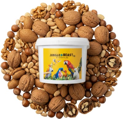 notenmix zonder schelp | papegaaien | voeding | snack |