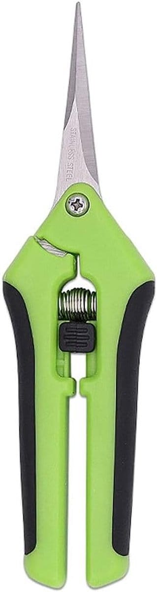 Tuinschaar Lange Steel - Snoeier Bloemen - Takken Snoeien - Roestvrij Staal - 6.5 Inch - Groen