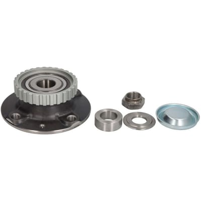 Wiellagerset SNR R166.30
