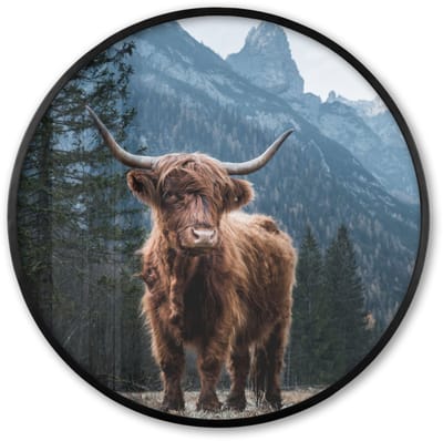 Poster in lijst Rond - Fotolijst 60x60 cm - Posters - Schotse hooglander - Berg - Landschap - Bomen - Koe - Natuur - Ronde posterlijst zwart - Decoratie - Wanddecoratie woonkamer - Muurdecoratie slaapkamer