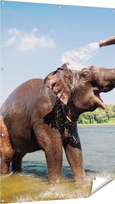 Gards Tuinposter Vrolijke Olifant in het Water - 100x150 cm - Tuindoek - Tuindecoratie - Wanddecoratie buiten - Tuinschilderij