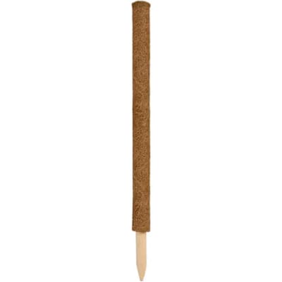Nature Plantenstok kokos - 60 cm - tonkinstokken - bruin - D38 mm - plantensteunen/plantstokken