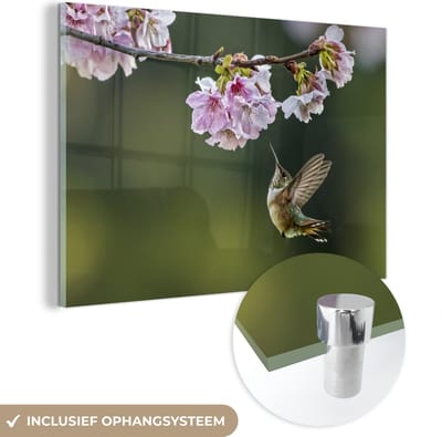 ® Glasschilderij 180x120 cm - Schilderij acrylglas - Vogel - Bloesem - Kolibrie - Foto op glas - Muurdecoratie woonkamer - Wanddecoratie slaapkamer - Schilderijen