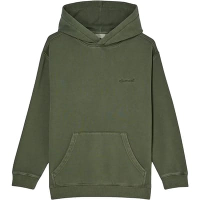 Element Lowcase Pigment Hoodie Groen 16 Years Jongen