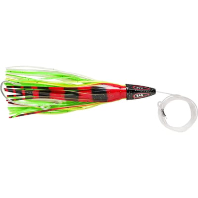 Lok Williamson Hspeed Sailfish