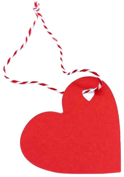 Dailygoods- Cadeauhangers 200 Stuks - Hartvormige Hangers - Papieren Lint - Doe-Het-Zelf Geluksbrenger - Touw 25 m - Hoogwaardig Kraftpapier - Geschenkhangers