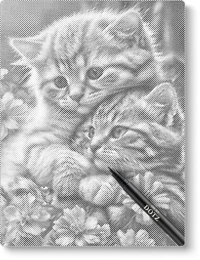 Knuffelende Kittens | Dot painting | 30x40cm | Dot painting | Oh My Dotz | Dots stippen | Diamond painting & Schilderen op nummer alternatief | Happy hobby