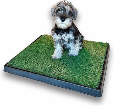 WOEFFY Honden Toilet Kunstgras | Zwart | Geurafstotend | Hondentoilet | 62 x 49 x 6.6 CM | Honden WC Indoor & Outdoor | Zindelijkheidstraining Hond | Puppy Pads | Dierentoilet |