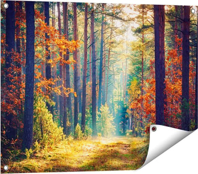 Gards Tuinposter Herfstbos met Zonneschijn - Kleur - 80x60 cm - Tuindoek - Tuindecoratie - Wanddecoratie buiten - Tuinschilderij