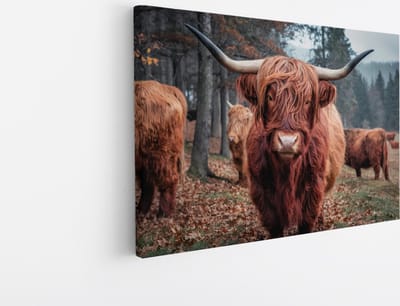Saammp Canvas Schilderij Schotse Hooglander Koe - Dieren - Natuur - 45x30 - Foto op canvas - Wanddecoratie - muurdecoratie Woonkamer - Slaapkamer decoratie - Canvas Print