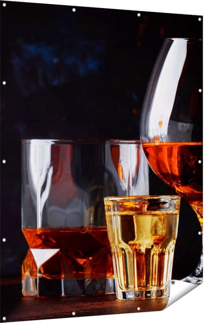 Gards Tuinposter Sterke Alcohol Drank - Glazen - 120x160 cm - Tuindoek - Tuindecoratie - Wanddecoratie buiten - Tuinschilderij