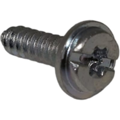 Screw