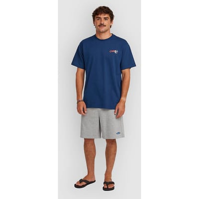 O'Neill Essentials 90'S Sweat Korte Broek grijs