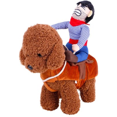 Mooi Rijdend Paard Hondje met Cowboyhoed Hond Huisdier Kat Grappige Golden Retriever Halloween Feest Cu L wit