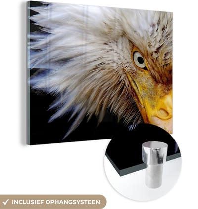 MuchoWow® Glasschilderij 160x120 cm - Schilderij acrylglas - Vogel - Oog - Snavel - Foto op glas - Schilderijen