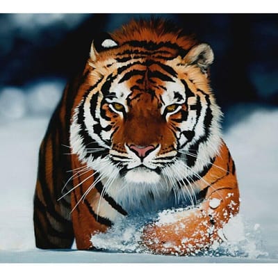 Peinture Diamant Forage Complet Rond Tigre Manchou Mosaïque DIY Peinture Diamant Point de Croix 20X30CM brown