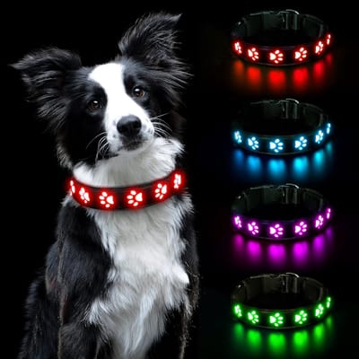 Lichtgevende Halsband, LED-Lichtgevende Halsband, Halsband, USB Oplaadbaar, Waterdicht Voor Kleine, Middelgrote En Grote Huisdieren, Veiligheidshalsband Met 3 Verlichtingsmodi (Rood-S)