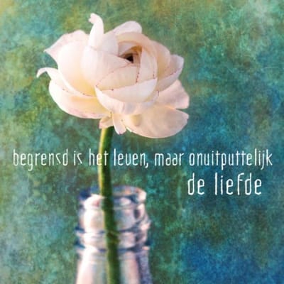 Dubbele kaarten Begrensd is het leven - 14x14 - Papier (10 stuks) - L