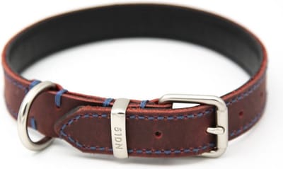 Kukura Lederen Hondenhalsband – Bordeaux met Blauw Stiksel - 25mm x 60cm – Halsband voor Hond & Kat