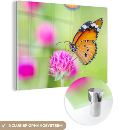 MuchoWow® Glasschilderij 40x30 cm - Schilderij acrylglas - Insecten - Vlinders - Bloemen - Foto op glas - Schilderijen
