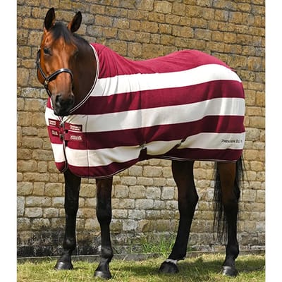 Drogende fleecedeken voor paarden Premier Equine Vellus