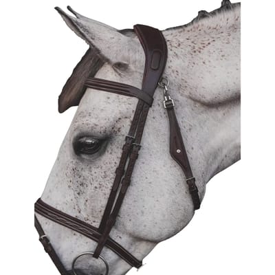 Anatomisch Combiné Muserolle Paardrijden Bit Equiline