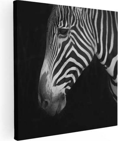 Artaza Canvas Schilderij Zebra Close-Up - 30x30 cm - Klein - Wanddecoratie Dieren - Muurdecoratie Dierenkop - Kamer Accessoires