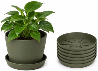 Pro Garden plantenpot onder schotel - 6x - opvang schaal - donkergroen - dia 29 cm - Kunststof