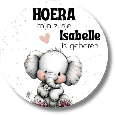 20x Geboorte Stickers Zusje | Naamstickers Olifant met Bloemetjes