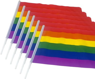 Regenboog Vlag – 6 Stuks – 40x46 cm – Grote Pride Vlaggen voor Feest & Decoratie